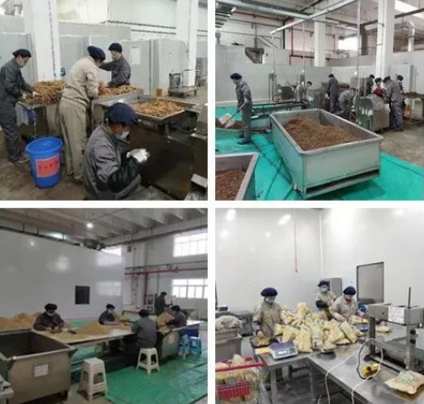 IM电竞(中国区)·官方网站