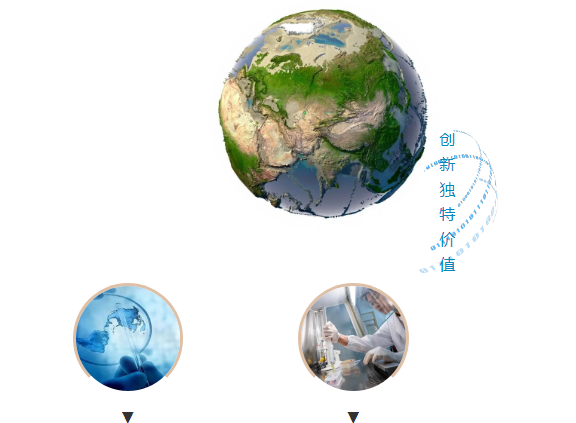 IM电竞(中国区)·官方网站