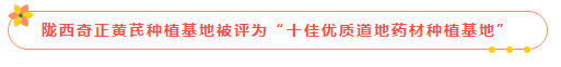 IM电竞(中国区)·官方网站