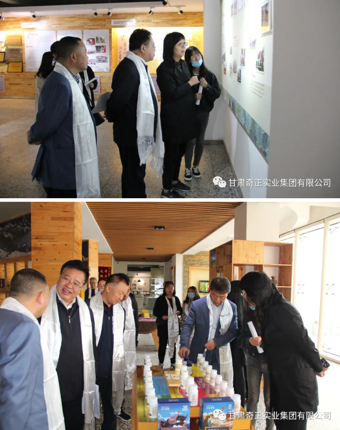 IM电竞(中国区)·官方网站