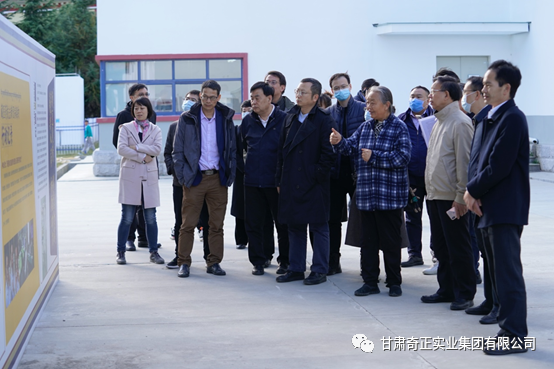 IM电竞(中国区)·官方网站