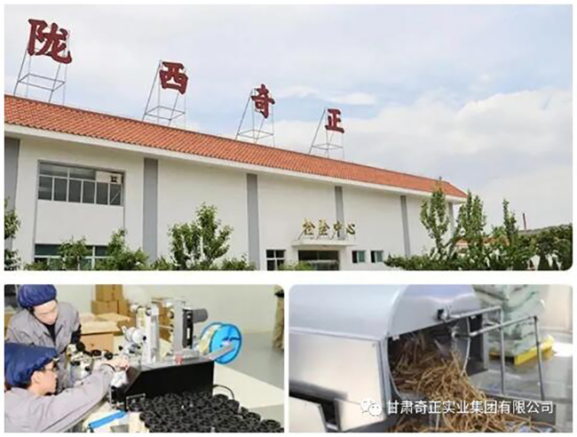 IM电竞(中国区)·官方网站