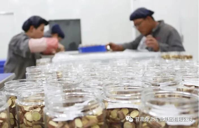 IM电竞(中国区)·官方网站