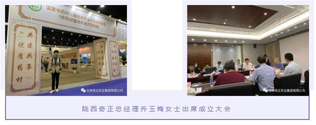 IM电竞(中国区)·官方网站