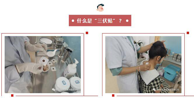 IM电竞(中国区)·官方网站