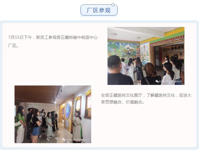 IM电竞(中国区)·官方网站