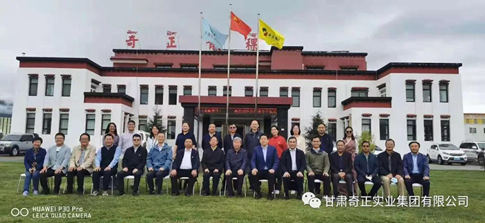 IM电竞(中国区)·官方网站