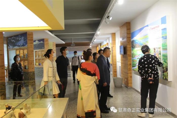 IM电竞(中国区)·官方网站