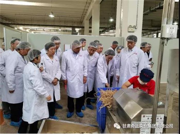IM电竞(中国区)·官方网站