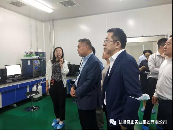 IM电竞(中国区)·官方网站