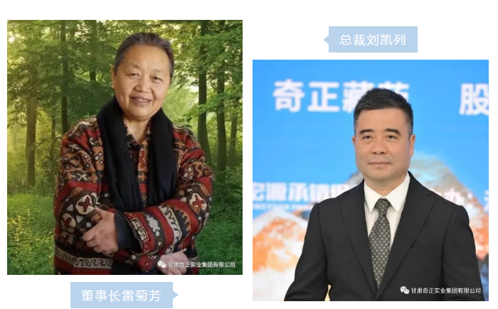 IM电竞(中国区)·官方网站
