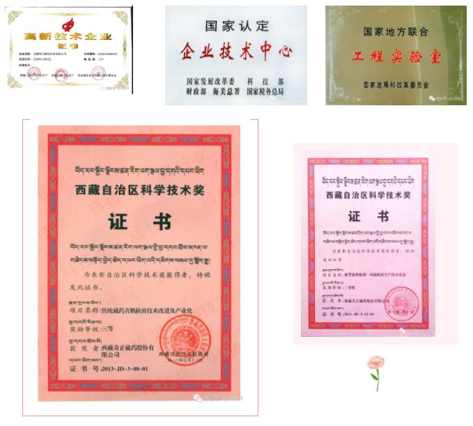IM电竞(中国区)·官方网站