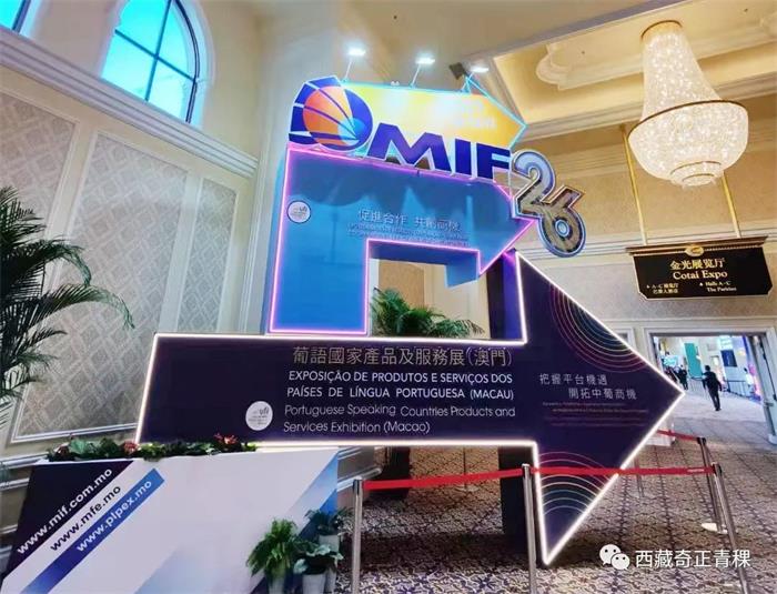 IM电竞(中国区)·官方网站