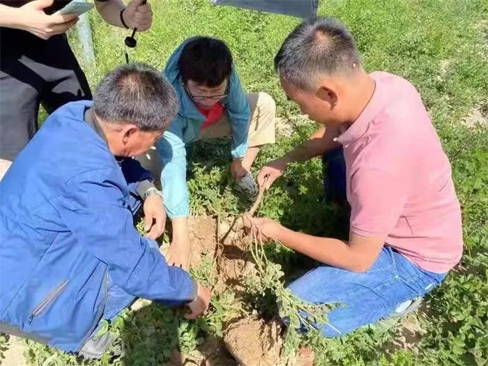 IM电竞(中国区)·官方网站