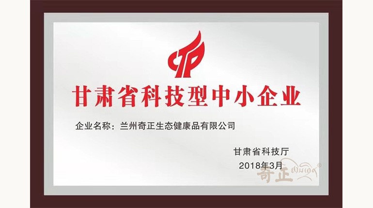 甘肃省科技型中幼企业