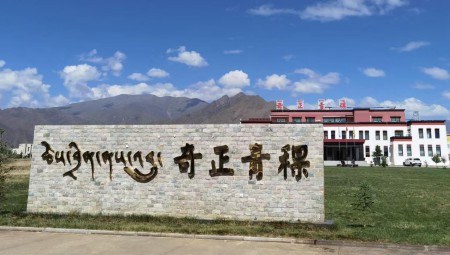IM电竞青稞厂区环境