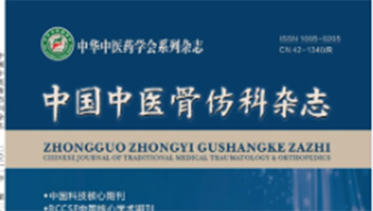 IM电竞白脉软膏时效性钻研见刊主题期刊《中国中医骨伤科杂志》